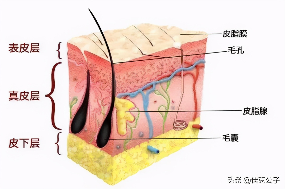 烂脸第几天最严重,烂脸修复第一步