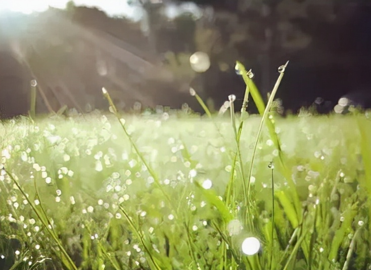 人生不怕坎坷就怕很多事都不会做,人生不怕失败就怕不敢开始