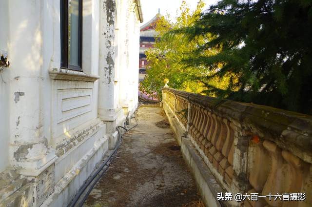 石家庄中国十大顶尖学府,正定县城有几个大学