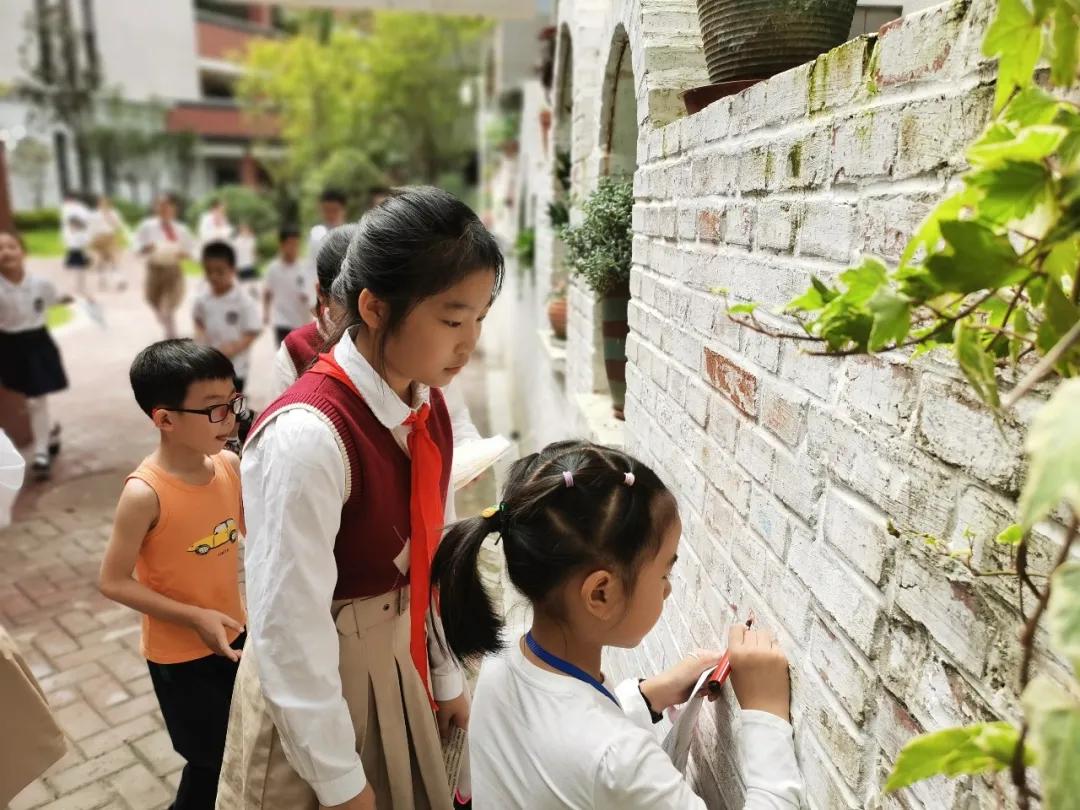 天府新区华阳小学：校园那么美，萌娃来打卡