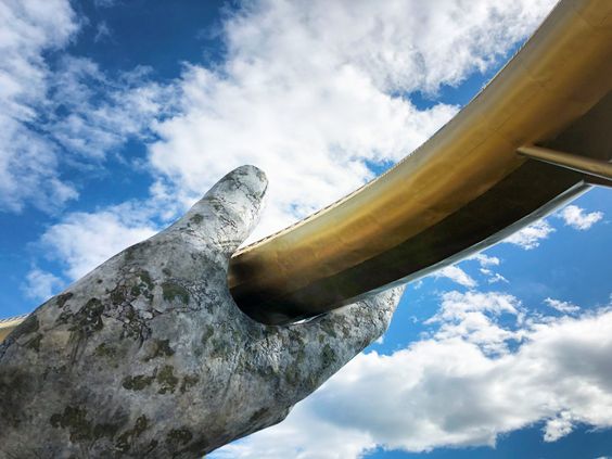 越南网红佛手桥抖音,佛手桥越南