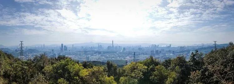 深圳首条手作“原始登山道”,人少好爬景色超美…过年去哪不用愁