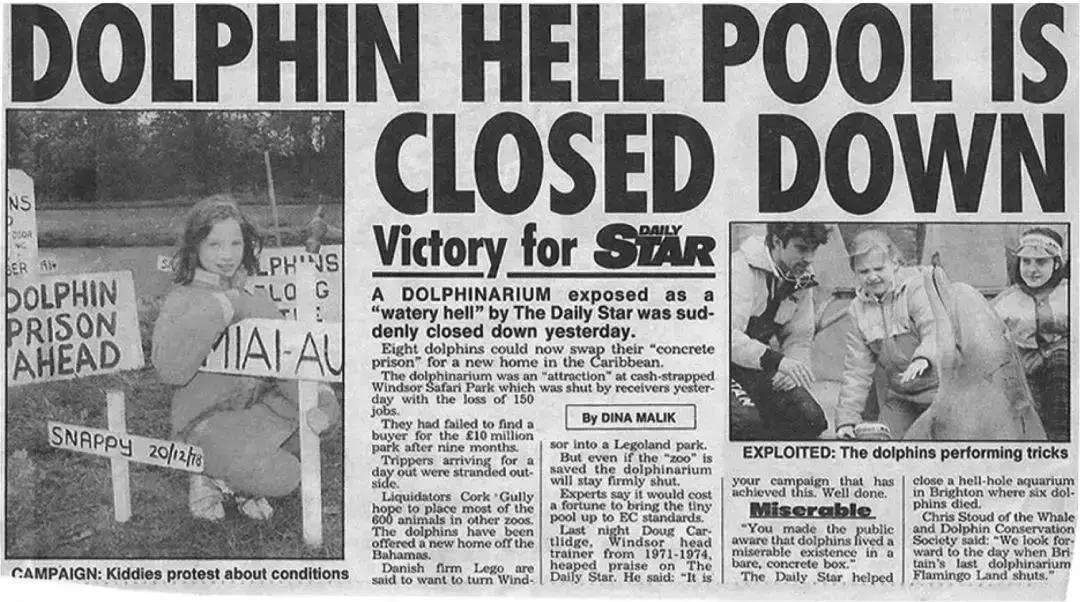 海洋馆的海洋动物表演,小孩子看的海洋动物视频