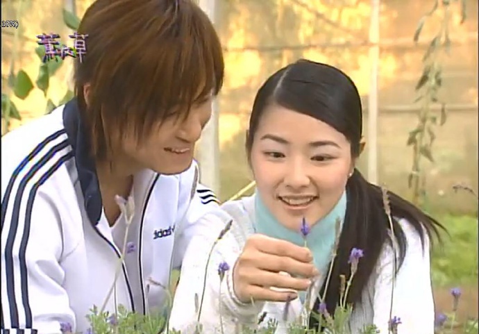 一部偶像剧让无数人的青春花香四溢，20年后剧中人物是何命运