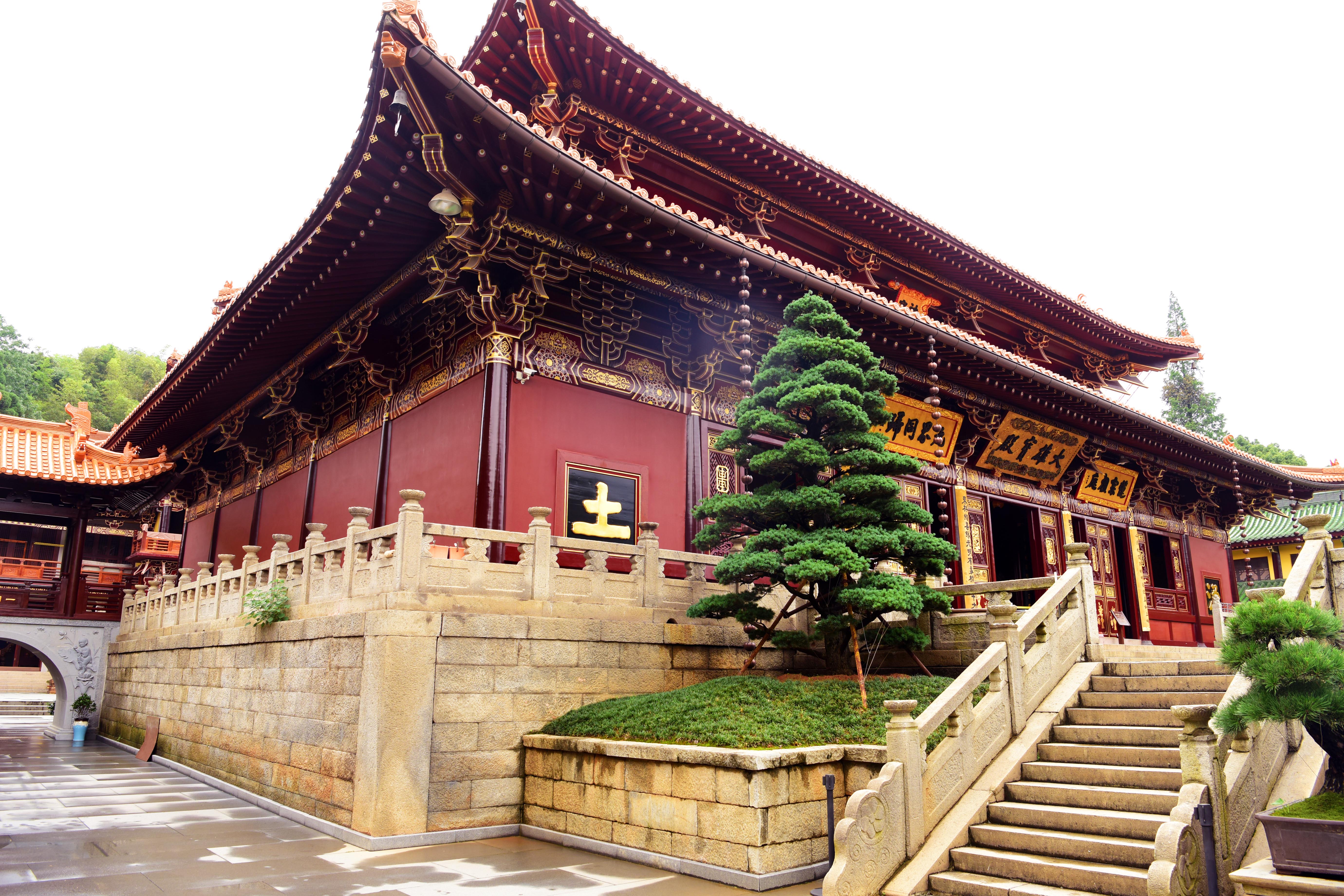 庐山东林寺，这座1600余年古刹，是中国一大佛门圣地，神奇惊叹