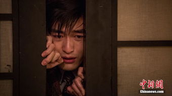 一口气看完密战电影,电影密战讲什么