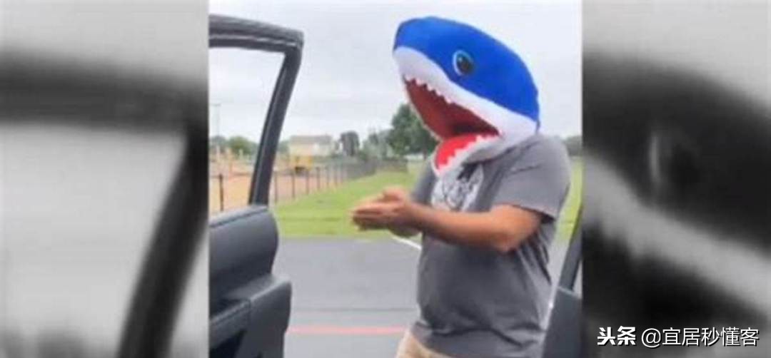 宜家小鲨鱼,为什么宜家鲨鱼火了