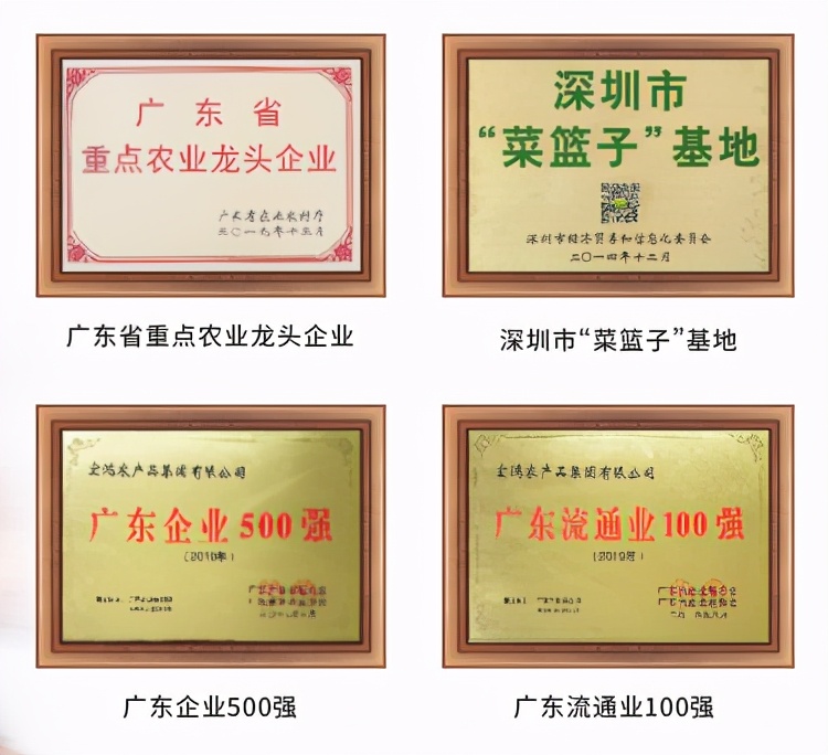 宏鸿合伙人招募广告,宏鸿合伙人招募