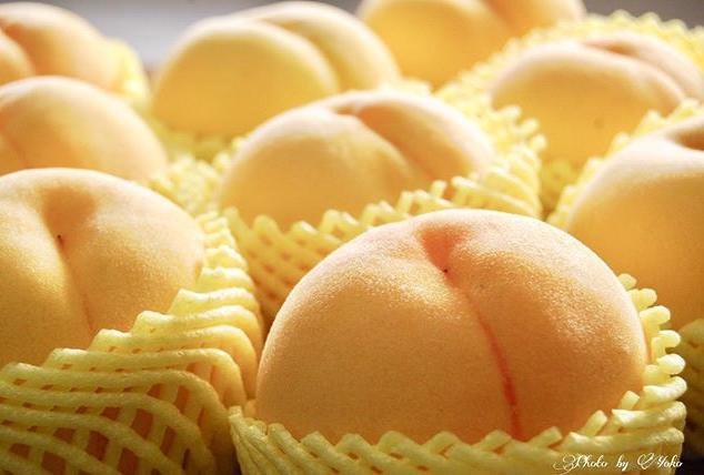 日本四季水果有哪几种,日本最好的五种水果