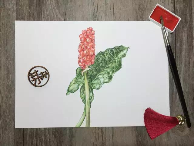 水彩密密麻麻的树叶怎么画,水彩画教程入门叶子