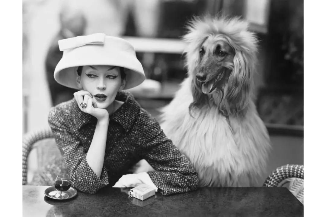 肯尼迪为什么选择杰奎琳,杰奎琳肯尼迪关系