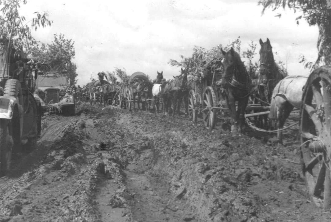 mg42通用机枪codm,mg42撕布机枪图片