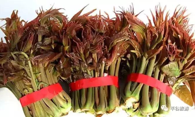 北京平谷第二十一届桃花节开幕,北京平谷桃花节最佳观赏地址