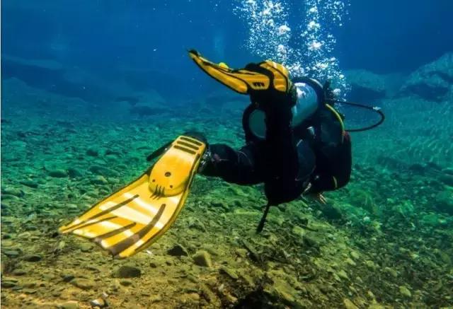 开鱼塘垂钓如何盈利,大爷创业致富项目