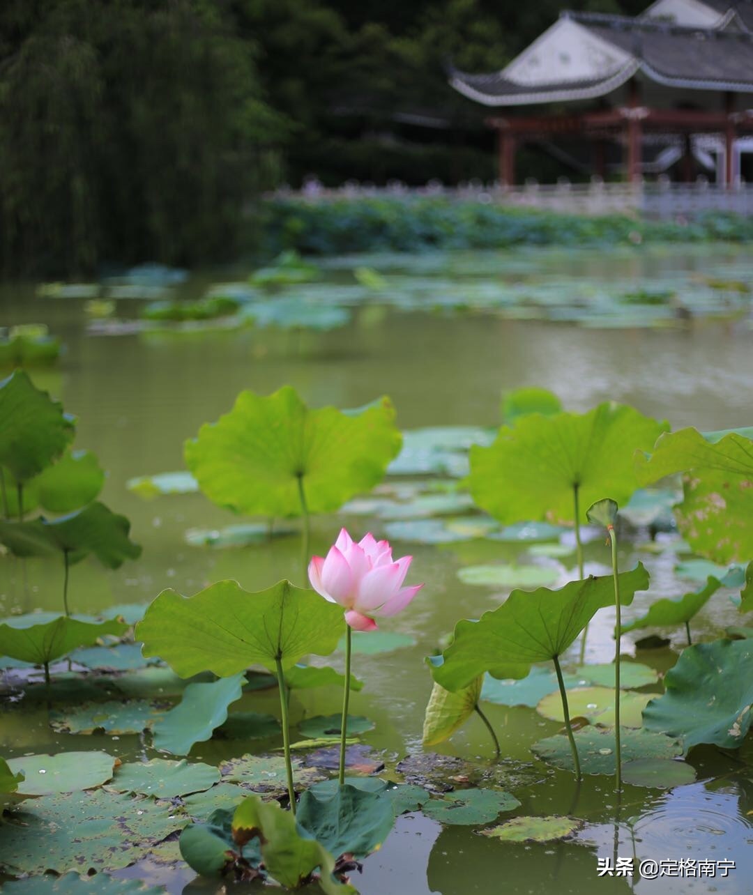 南宁狮山公园晚上开放时间,南宁狮山公园近期有什么玩