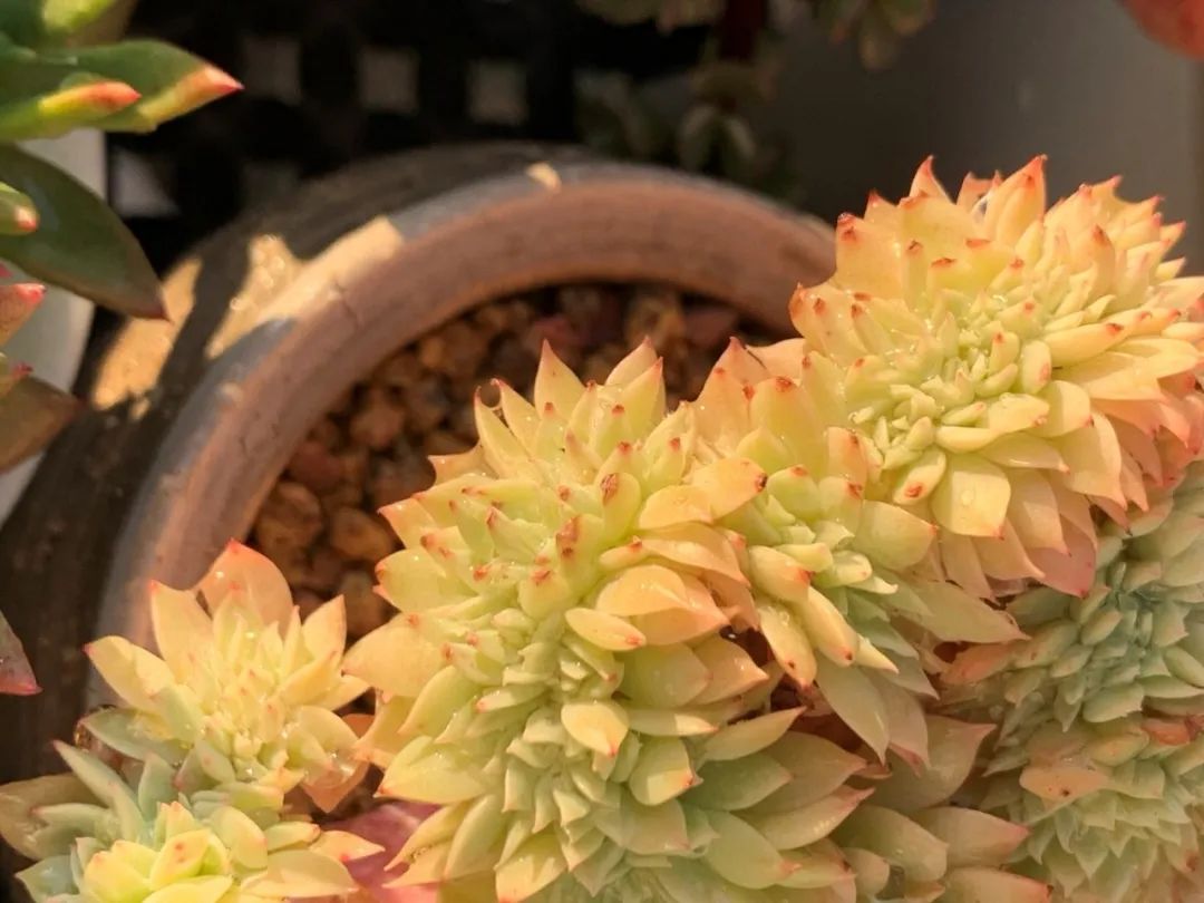 禁足的日子收获颇多,禁足