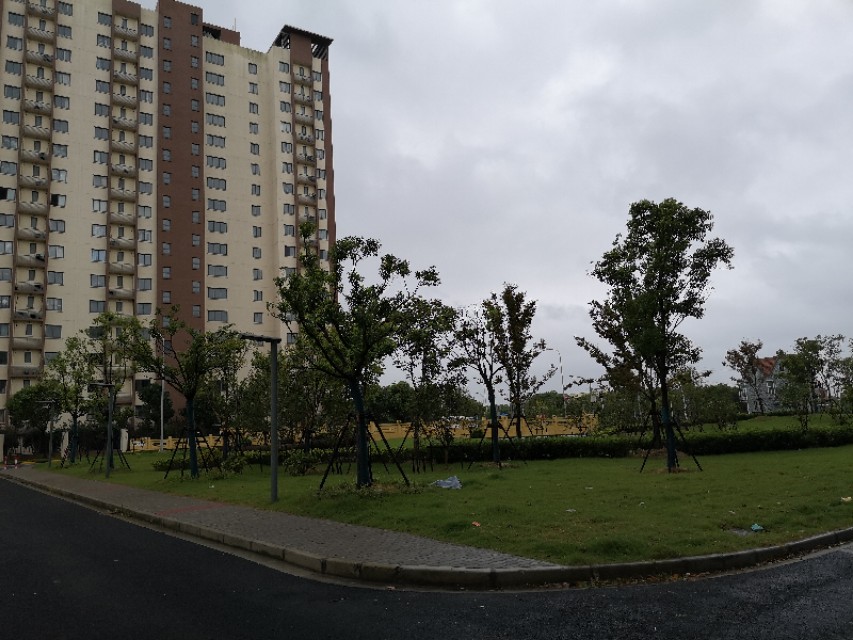 上海临港新片区万祥东来建设,临港新片区万祥