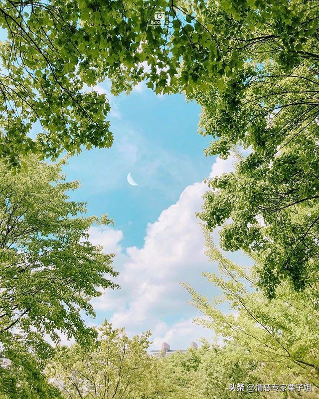 <html>
<head><title>502BadGateway</title></head>
<body>
<center><h1>502BadGateway</h1></center>
<hr><center>nginx</center>
</body>
</html>
<!--apaddingtodisableMSIEandChromefriendlyerrorpage-->
<!--apaddingtodisableMSIEandChromefriendlyerrorpage-->
<!--apaddingtodisableMSIEandChromefriendlyerrorpage-->
<!--apaddingtodisableMSIEandChromefriendlyerrorpage-->
<!--apaddingtodisableMSIEandChromefriendlyerrorpage-->
<!--apaddingtodisableMSIEandChromefriendlyerrorpage-->
