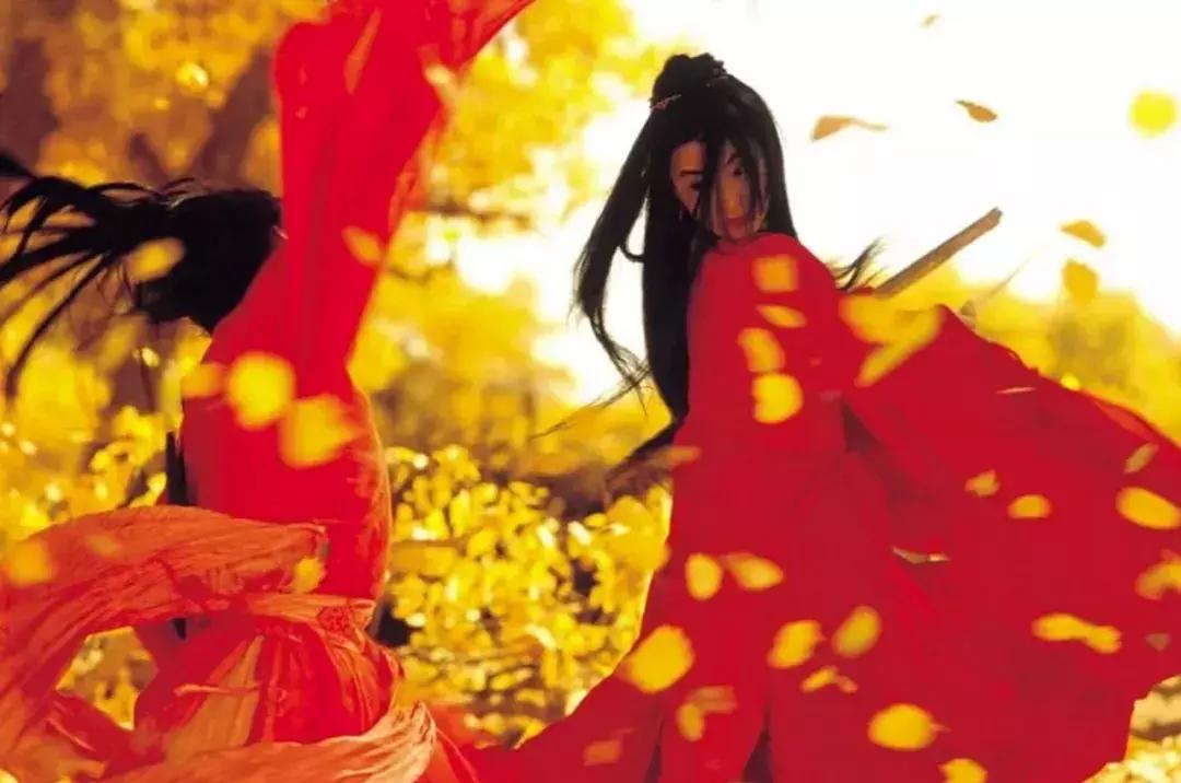 肖战老板,肖战主演年代剧