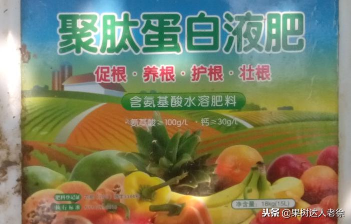 樱桃好吃树难栽下一句谚语是什么,樱桃好吃树难栽后一句是啥