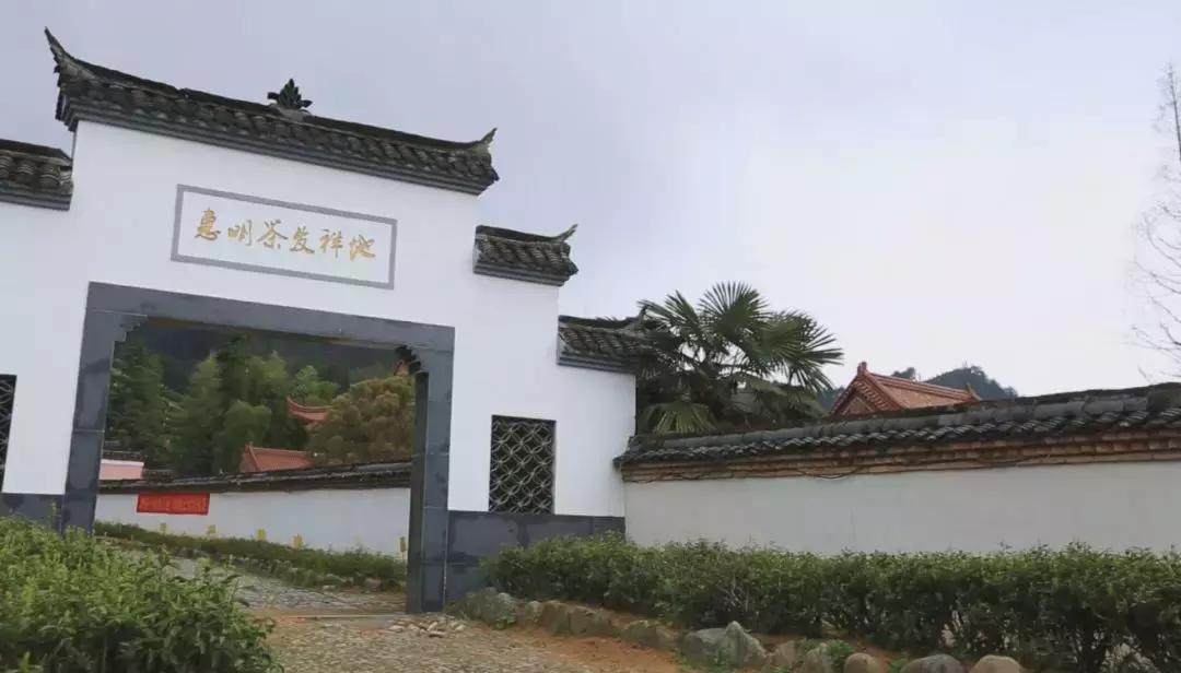 春茶季好茶推荐,2003年春明茶厂金奖沱茶鉴别