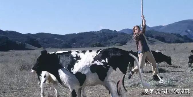 推荐5部喜剧,十部喜剧电影让你从头笑到尾