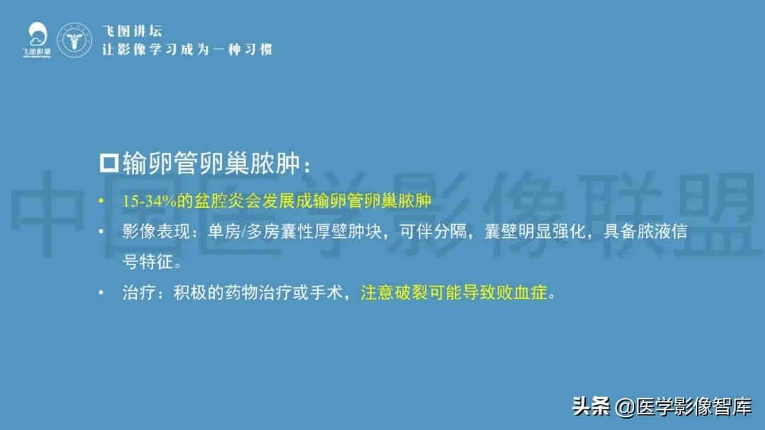 子宫解剖结构输卵管和卵巢位置,子宫附件ct影像学正常解剖表现