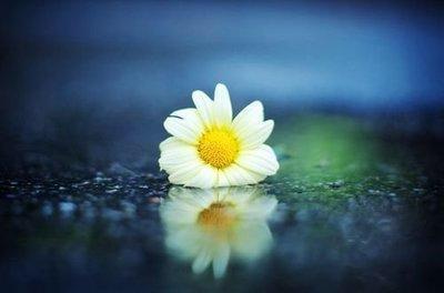 别人瞧不起你发朋友圈怎么说,瞧不起人的句子发朋友圈