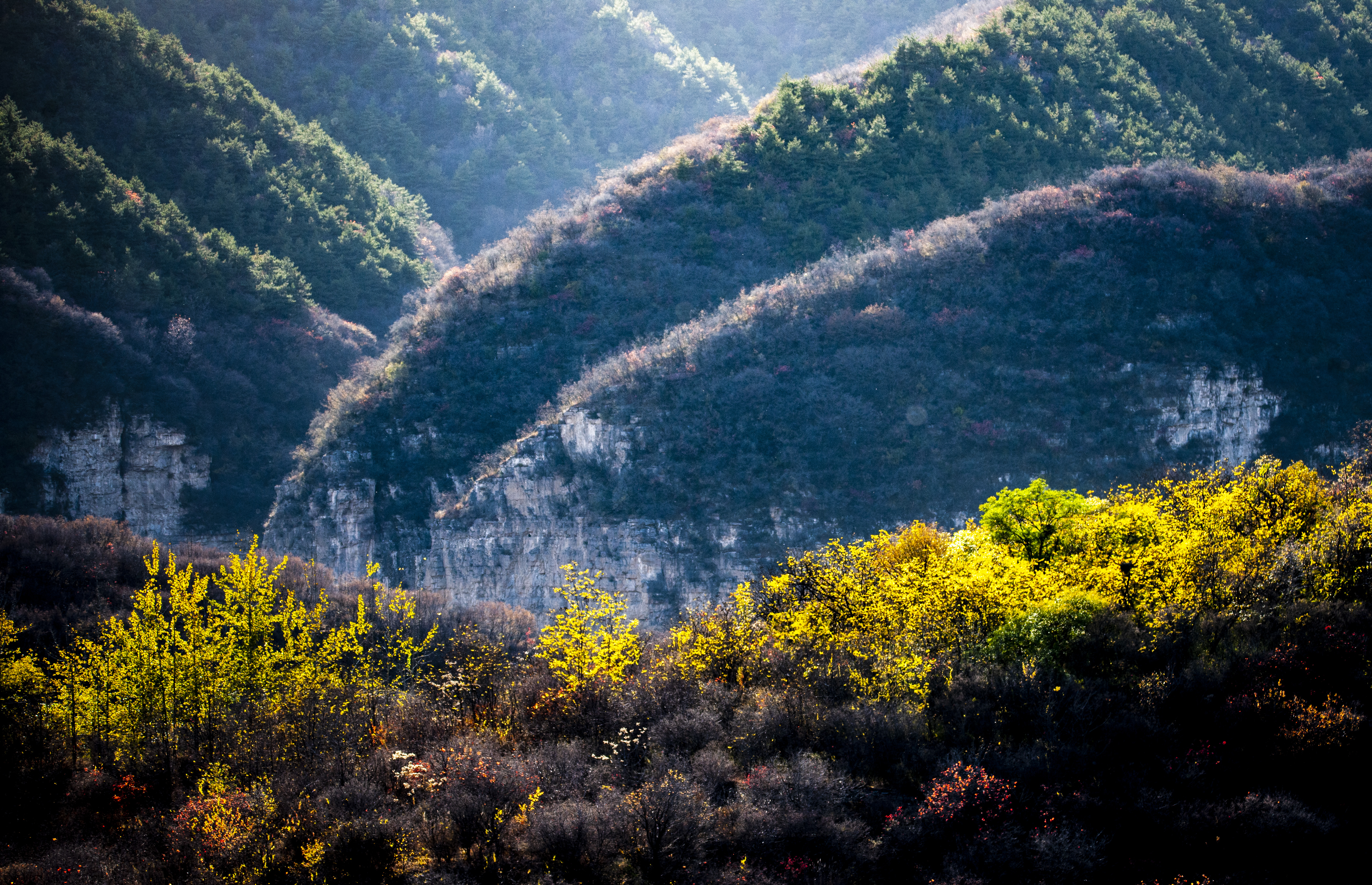 晚秋太行龙纹,晚秋太行红叶