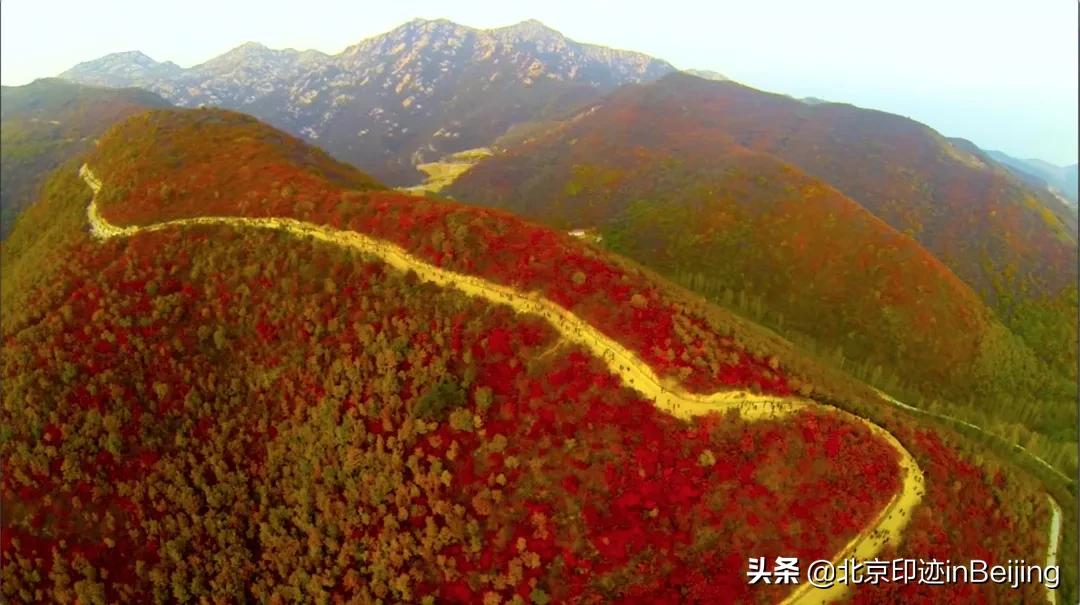 香山静宜园图片大全,香山静宜园二十八景