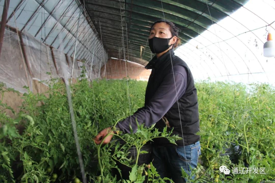 春色最浓在田间种植养殖齐发展