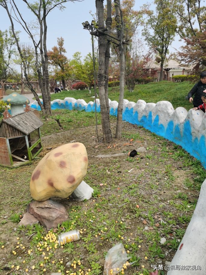 不一样的南通动物园,南通森林野生动物园和上海动物园