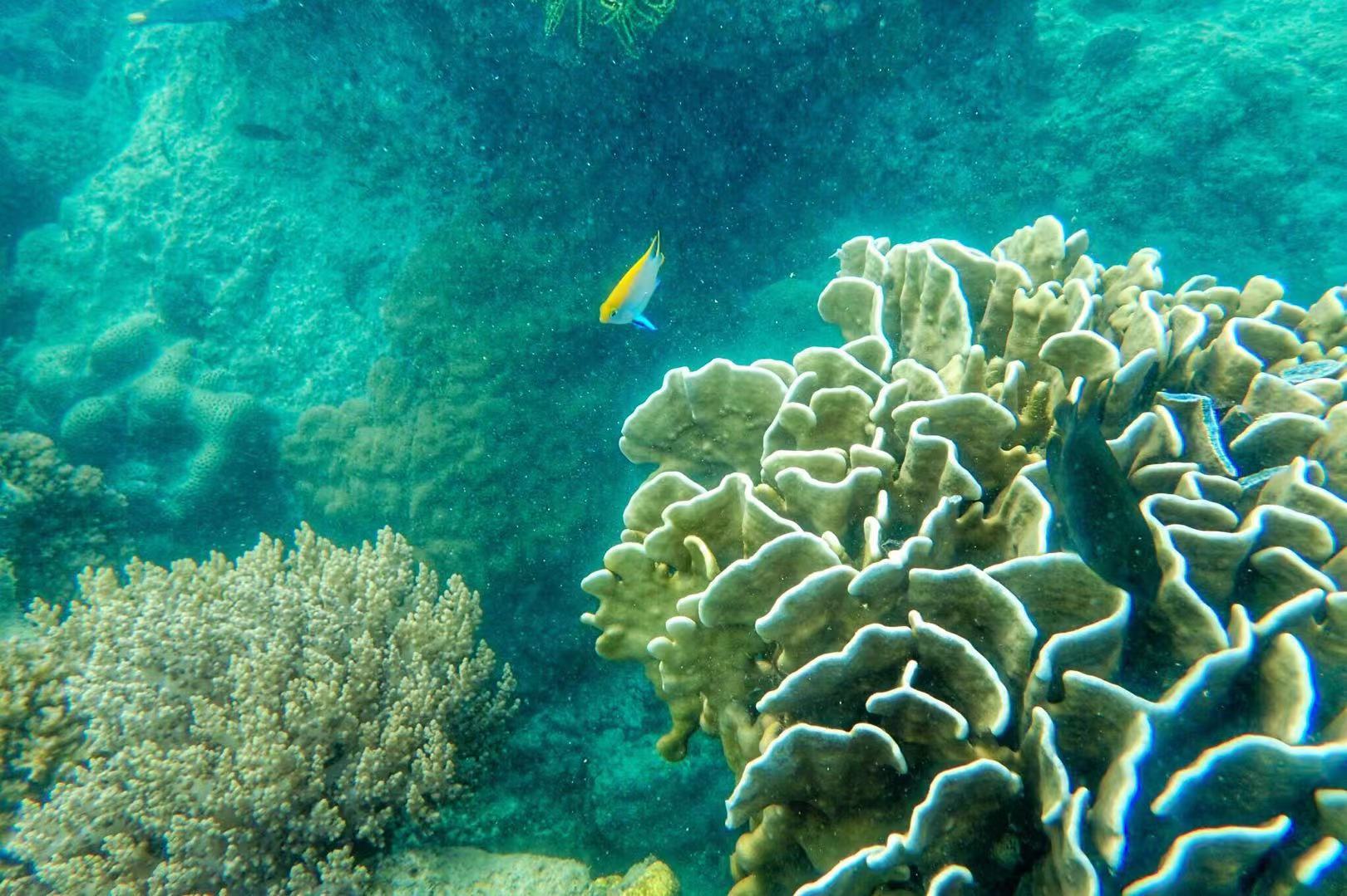 印度尼西亚举世闻名的旅游岛屿,印度尼西亚值得去的小岛