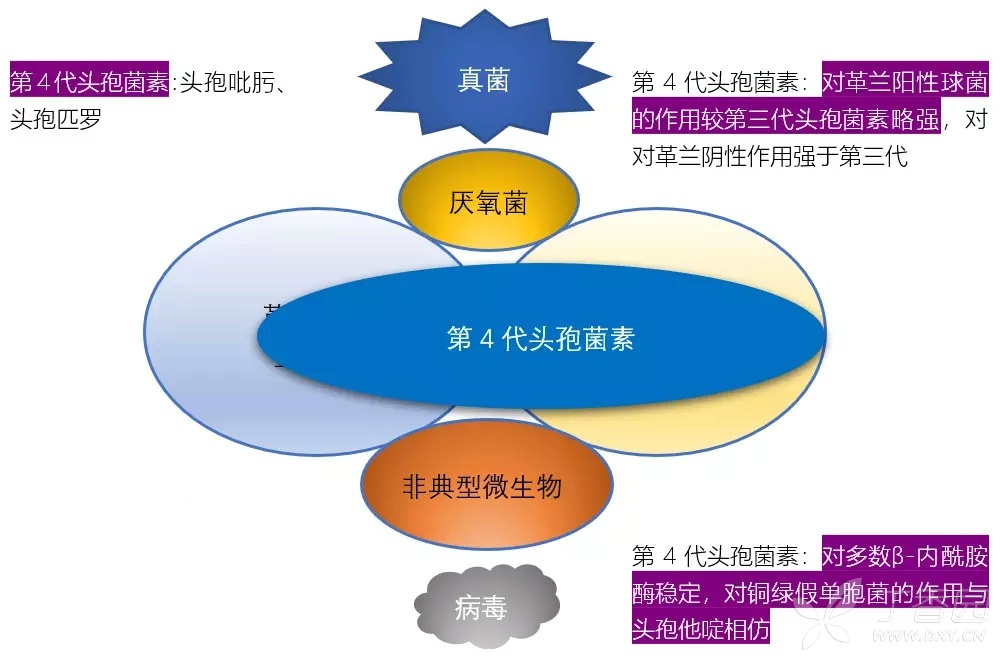 定期复习：各大类型抗生素抗菌谱，看完这个受益匪浅