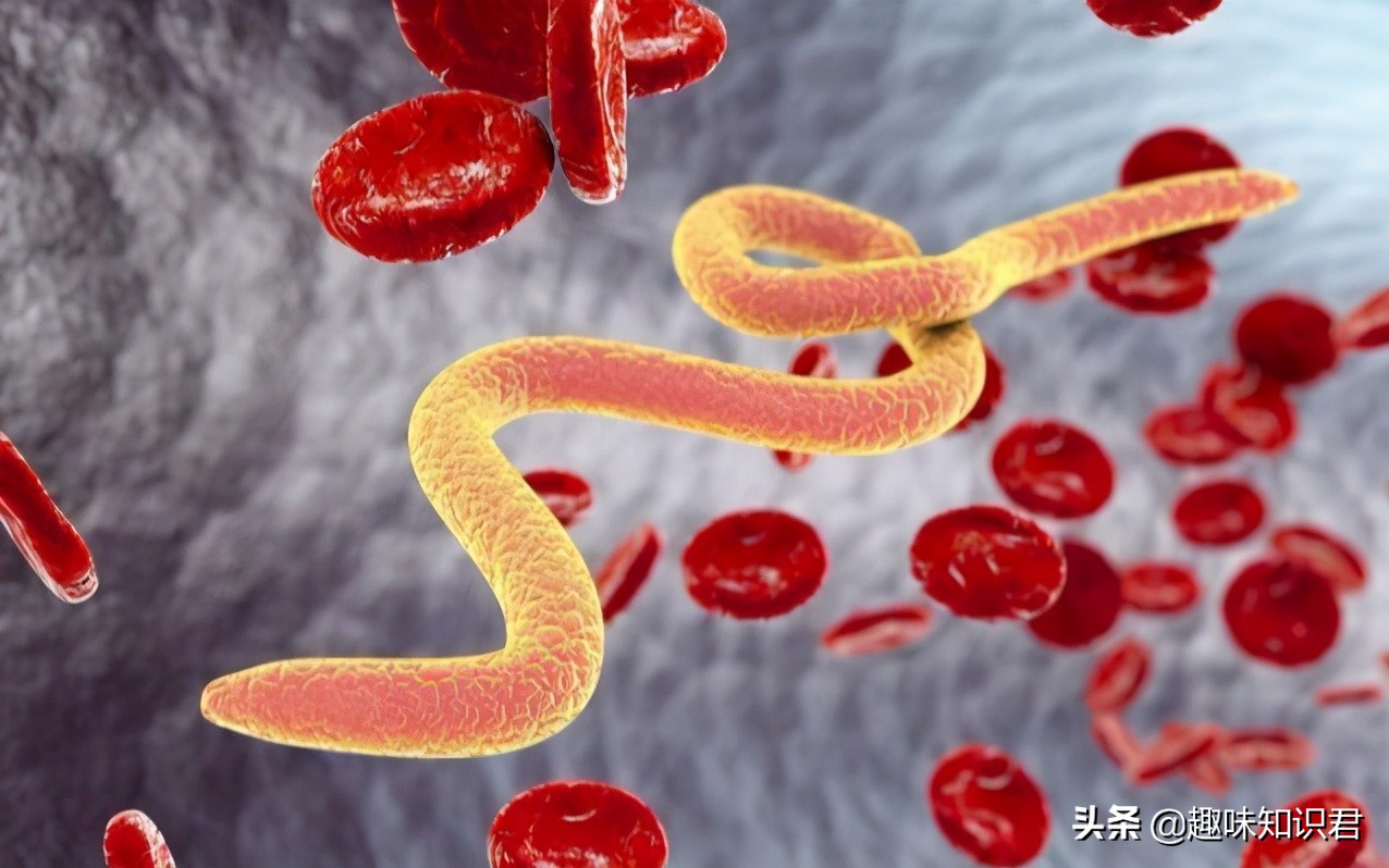 世界上最无聊的冷知识,世界十大奇葩冷知识大全