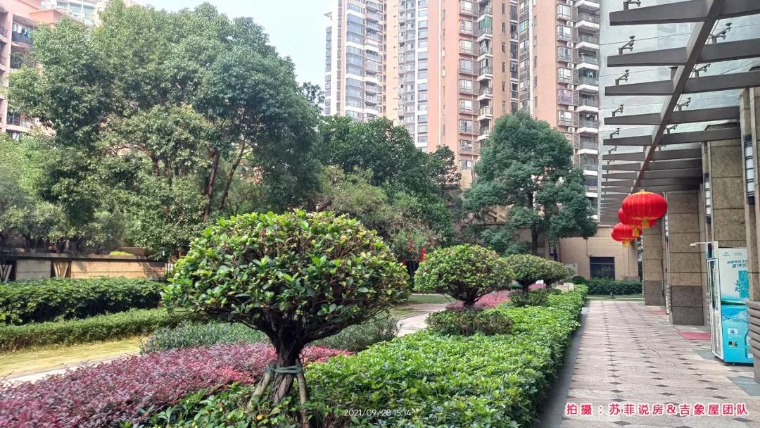 改善型豪宅小区,公园1号楼盘怎么样