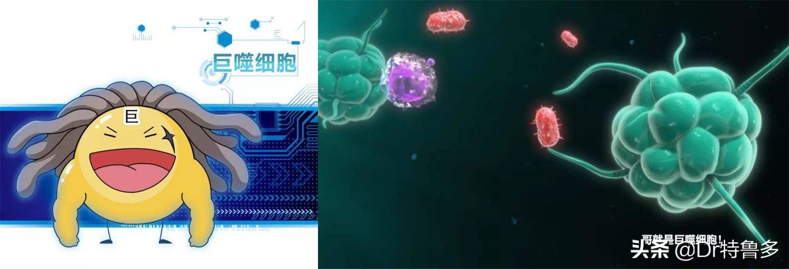 骨折能避开灾祸是迷信么,骨折恢复后腿有坑是怎么回事