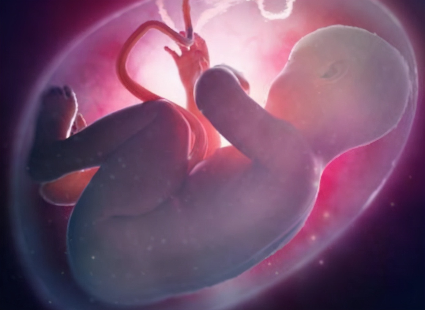 胎儿在羊水里耳朵会进水吗,胎儿在羊水中会被羊水淹没吗