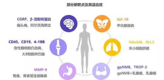 2019中国医疗大健康产业研究报告,中国医疗健康产业市场前景