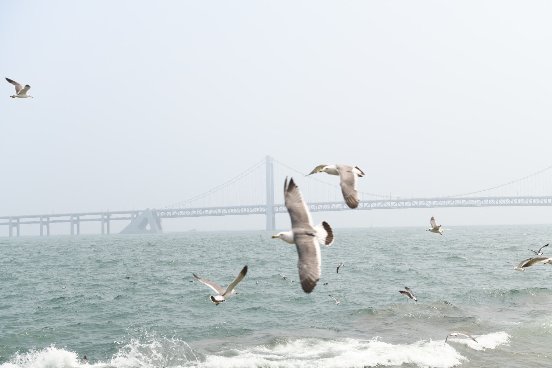 神州租车2022价目表异地还车,神州租车无门槛100元怎么领