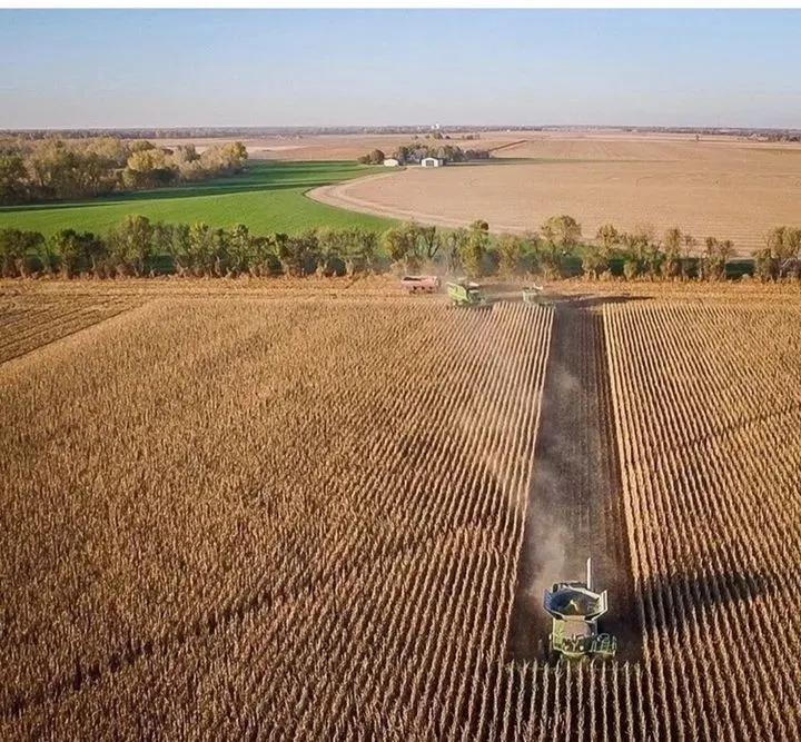 用钱去做农业会怎样,去农村搞种植业投资怎样做最好