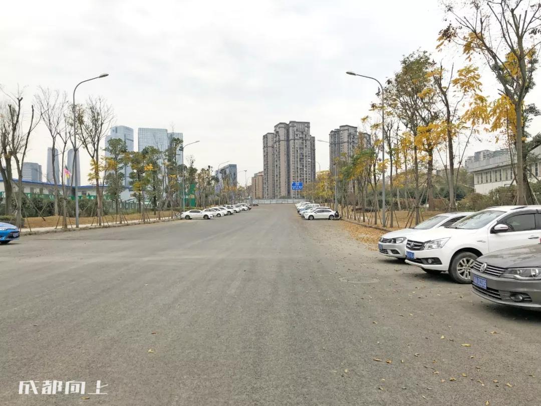 成都2024年火爆项目,巨变前夜智能网联汽车