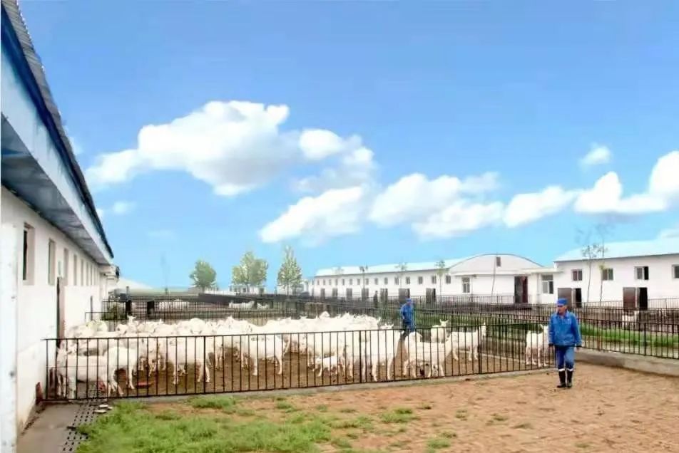 陕西省圣唐乳业产品,最新陕西圣唐乳业电话