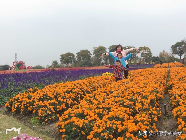 可爱的少妇自拍越来越丰满越来越成熟了