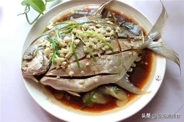 没办法人工养殖的五种鱼,人工养殖最好的三种鱼