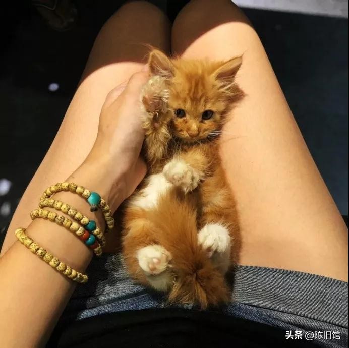 女士玩什么样的文玩,文玩女生