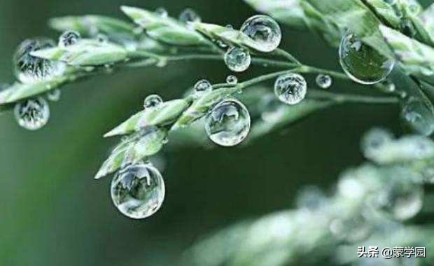 古诗词经典鉴赏陆游,陆游经典诗句二十首