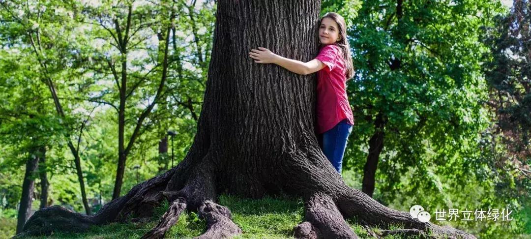 为什么园艺疗法能快速发展,园艺疗法的应用领域