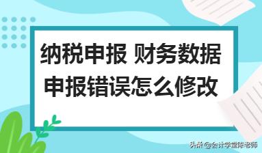 纳税申报资产负债表错了如何更正,税务申报错误如何修改