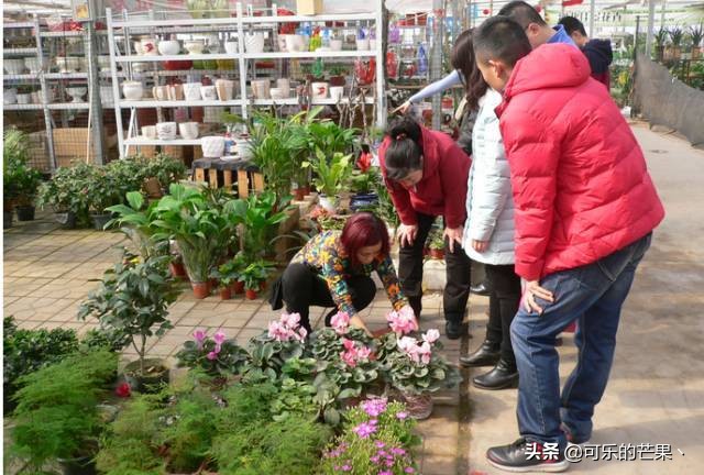 2022石家庄年货市场有几家 (带你走进石家庄批发市场)